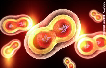 Welche Rolle spielen Mitochondrien bei Krebs?