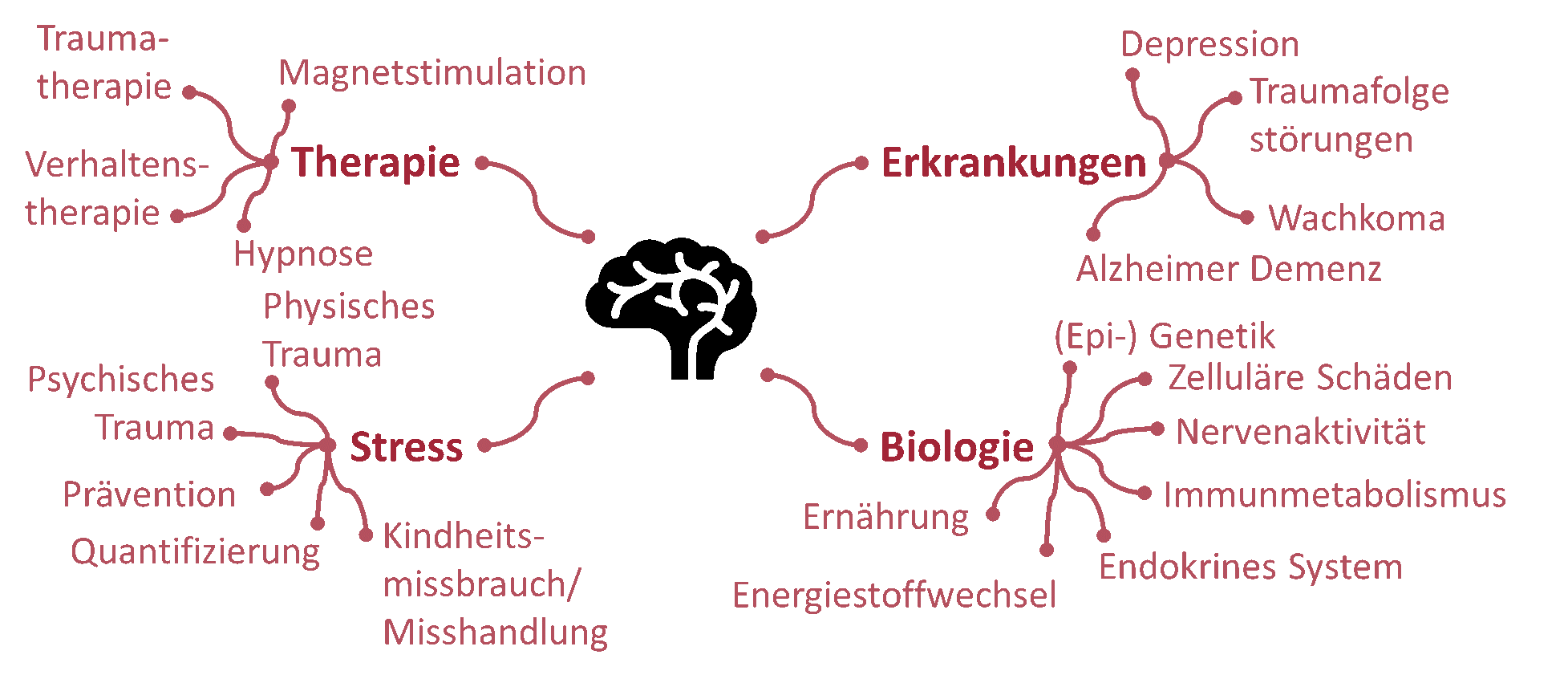 Mitochondrien und posttraumatische Belastungsstörung: Die Auswirkungen von Traumata auf unsere Zellen
