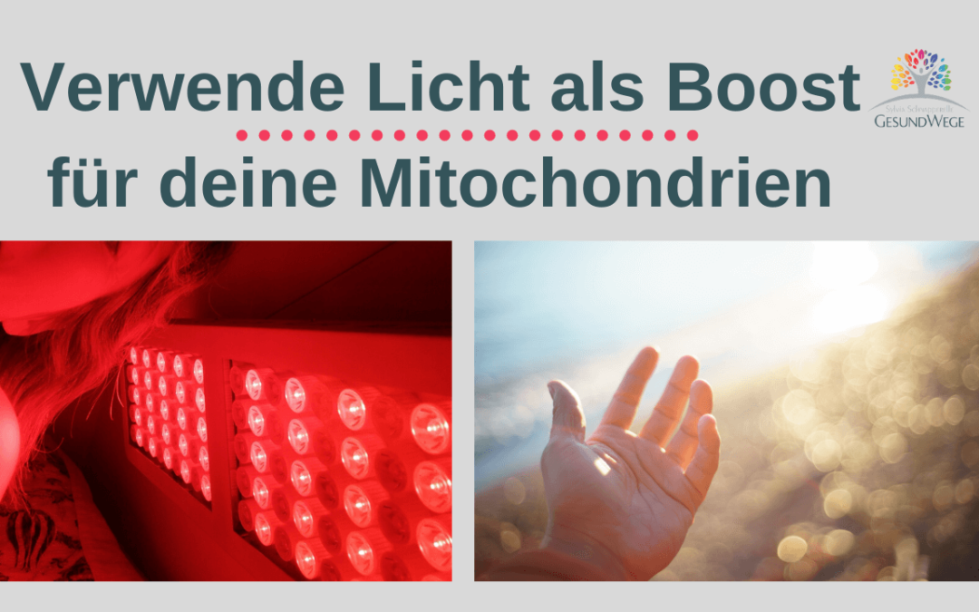 Was macht Sonnenlicht mit Mitochondrien?