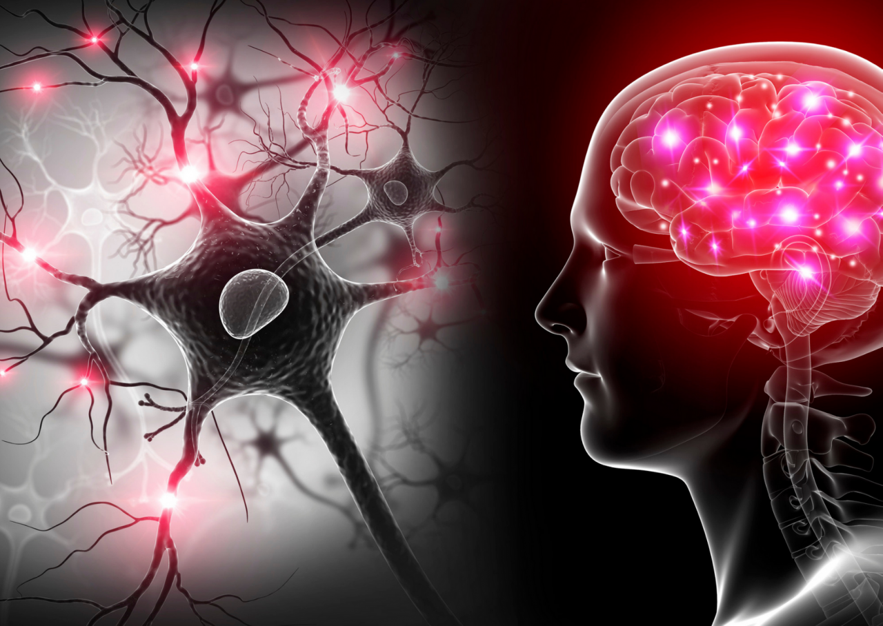 Mitochondrien und Alzheimer: Die Rolle der Energieversorgung im Gehirn.